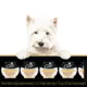 Product Cesar Wholesome Bowls Adult Wet Dog Food Chicken Variety Pack, 6ct