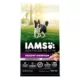 Product IAMS™ Advanced Health Adult Dry Dog Food - Chicken