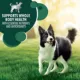 Product IAMS™ Advanced Health Adult Dry Dog Food - Chicken