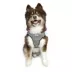Hip Doggie EZ Mesh Reflective Vest Dog Harness image thumbnail 4