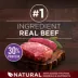 Purina ONE True Instinct Dry Dog Food - Beef & Bison image thumbnail 2