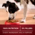 Purina ONE True Instinct Dry Dog Food - Beef & Bison image thumbnail 5