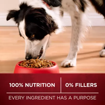 Product Purina ONE True Instinct Dog Food - Beef & Bison