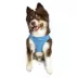 Hip Doggie EZ Mesh Reflective Vest Dog Harness image thumbnail 4