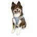 Hip Doggie EZ Mesh Reflective Vest Dog Harness image thumbnail 4