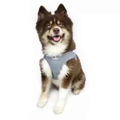 Product Hip Doggie EZ Mesh Reflective Vest Dog Harness