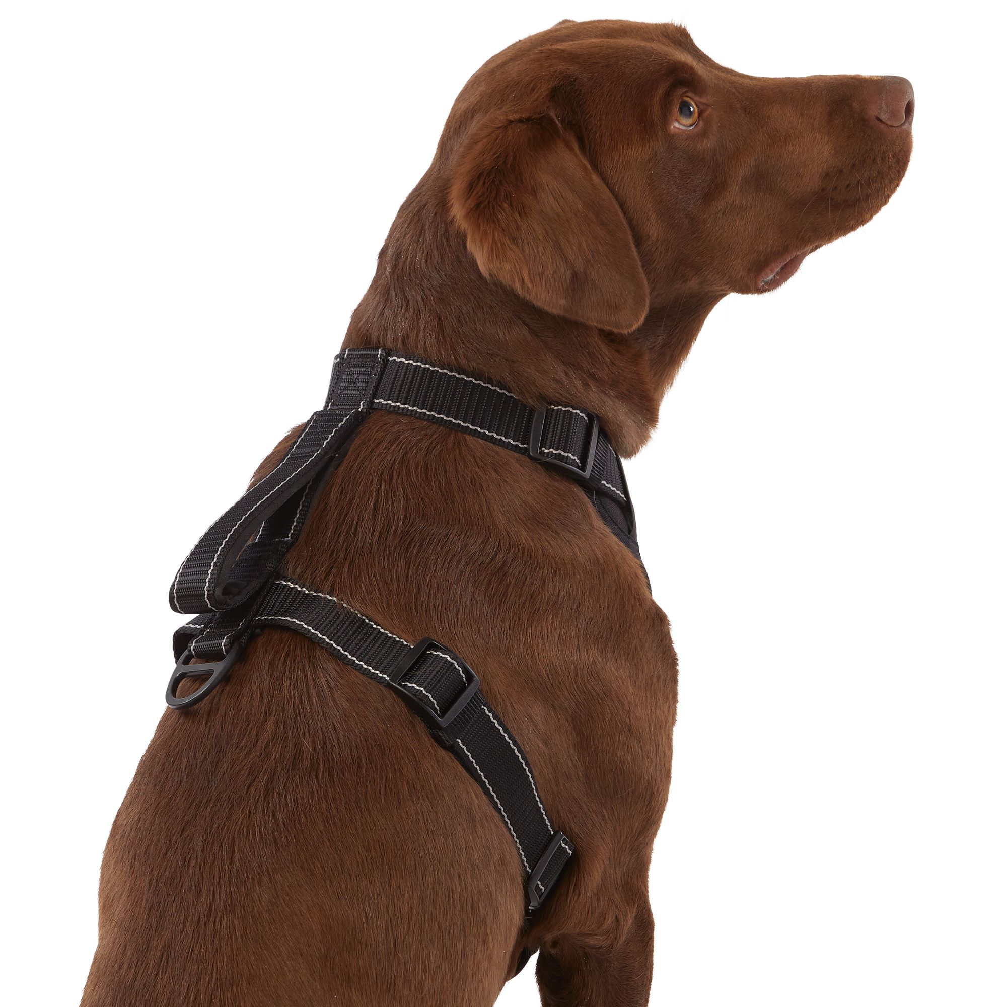 KONG MAX Neoprene Padded Dog Harness PetSmart in Tustin CA The Market Place