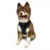 Hip Doggie Ultra Comfort Reflective Vest Dog Harness image thumbnail 3