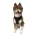 Hip Doggie Ultra Comfort Reflective Vest Dog Harness image thumbnail 3