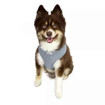 Hip Doggie Ultra Comfort Reflective Vest Dog Harness - Image 3