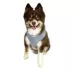 Hip Doggie Ultra Comfort Reflective Vest Dog Harness image thumbnail 3