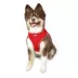 Hip Doggie Ultra Comfort Reflective Vest Dog Harness image thumbnail 3
