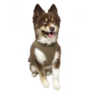 Hip Doggie Ultra Comfort Reflective Vest Dog Harness - Image 3