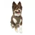 Hip Doggie Ultra Comfort Reflective Vest Dog Harness image thumbnail 3