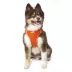 Hip Doggie EZ Mesh Reflective Vest Dog Harness image thumbnail 3