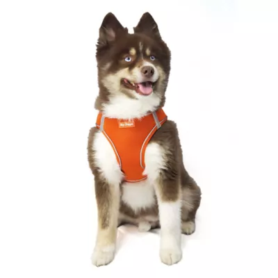 Product Hip Doggie EZ Mesh Reflective Vest Dog Harness