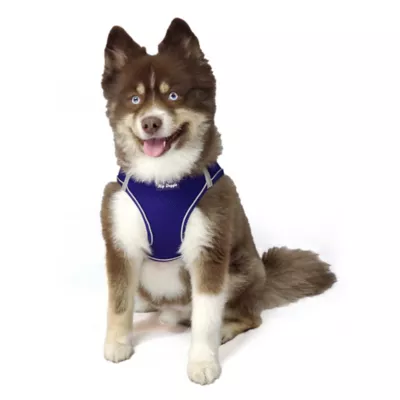 Product Hip Doggie EZ Mesh Reflective Vest Dog Harness