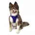 Hip Doggie EZ Mesh Reflective Vest Dog Harness image thumbnail 4