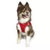 Hip Doggie EZ Mesh Reflective Vest Dog Harness image thumbnail 4