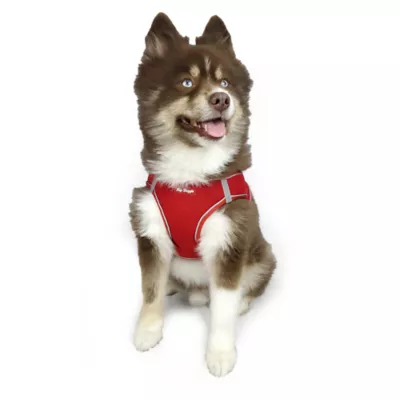 Product Hip Doggie EZ Mesh Reflective Vest Dog Harness