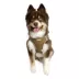 Hip Doggie EZ Mesh Reflective Vest Dog Harness image thumbnail 4