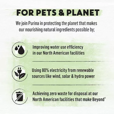 Beyond Grain Free Wet Cat Food - Pâté Variety Pack, 4 Flavours, 85 g x 24 - Image 5