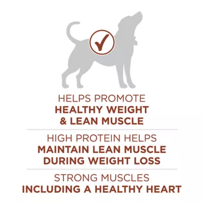 Purina ONE SmartBlend Healthy Weight Formula Dry Dog Food