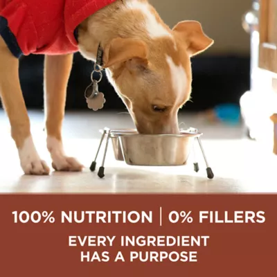 Purina one smart balance dog food best sale