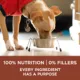 Product Purina ONE SmartBlend Healthy Weight Formula Dry Dog Food