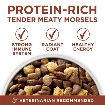 Is purina one smartblend good dog food best sale