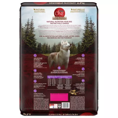 Purina one beef dog food best sale