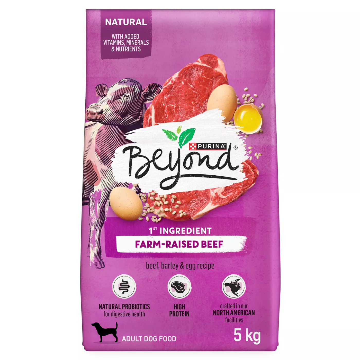 Purina Beyond Adult Dry Dog Food Beef Barley Egg