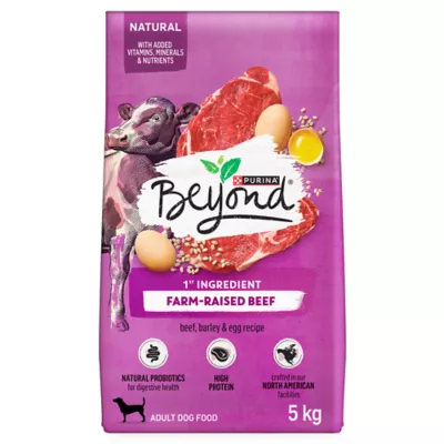 Product Purina Beyond Adult Dry Dog Food - Beef, Barley & Egg