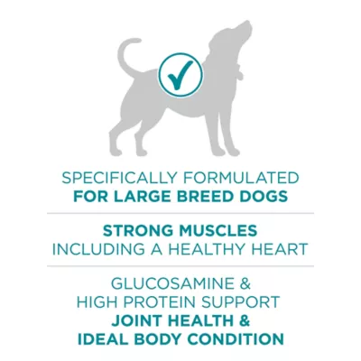 Purina ONE Plus Natural Large Breed Formula