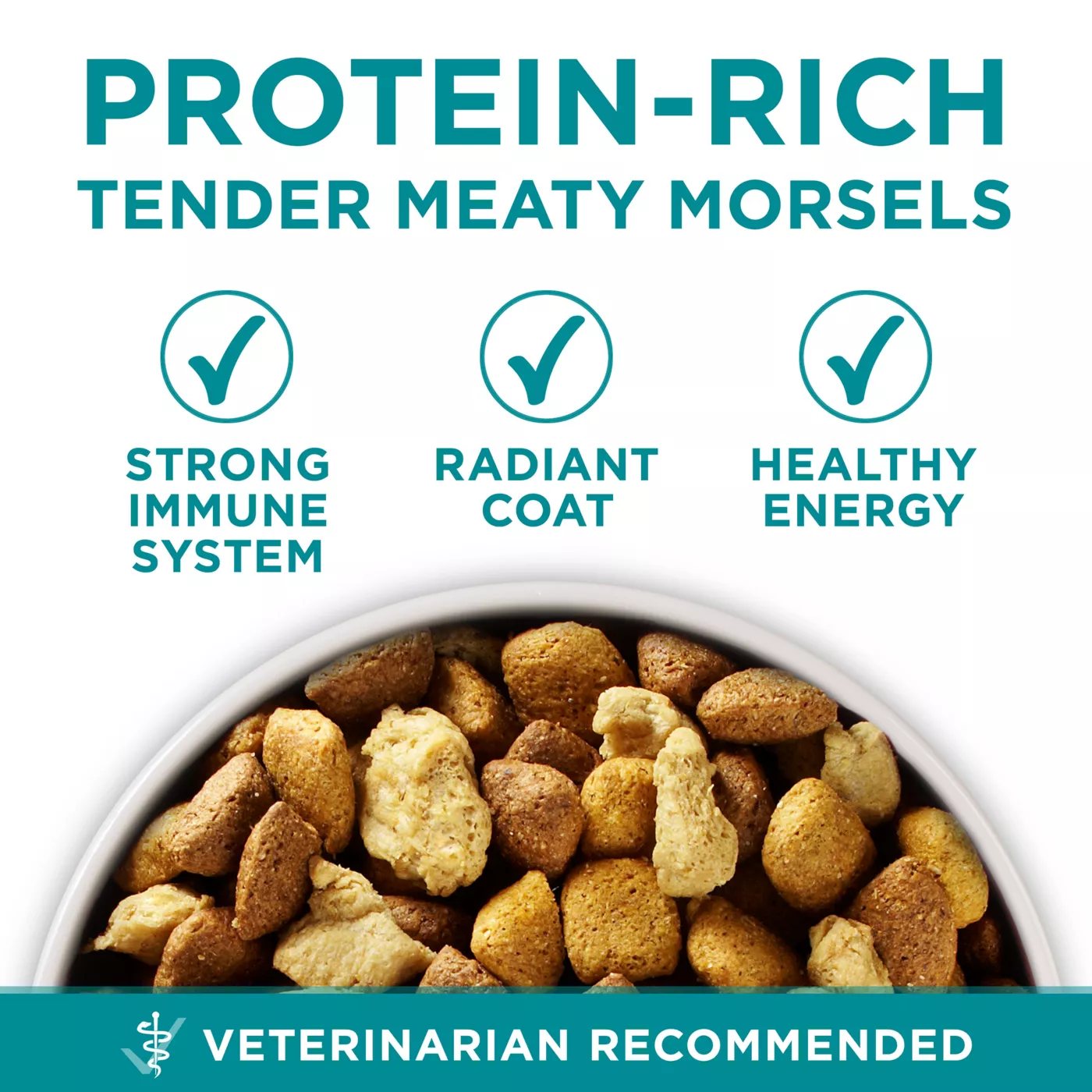 Meaty morsels dog food hotsell