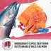 Beyond Grain Free Indoor Cat Food - Wild-Caught Salmon & Egg, 2.26 kg image thumbnail 3