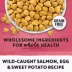 Beyond Grain Free Indoor Cat Food - Wild-Caught Salmon & Egg, 2.26 kg image thumbnail 8