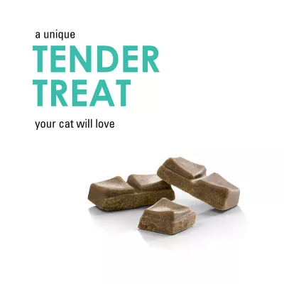 Product Fancy Feast® Savoury Cravings Cat Treats