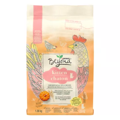 Purina Beyond Kitten Chicken and Oatmeal Recipe Dry Kitten Food