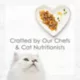 Product Fancy Feast® Petites In Gravy Wet Cat Food