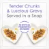 Fancy Feast Wet Cat Food Petites in Gravy, 79.4 g Split Cup Tray image thumbnail 7