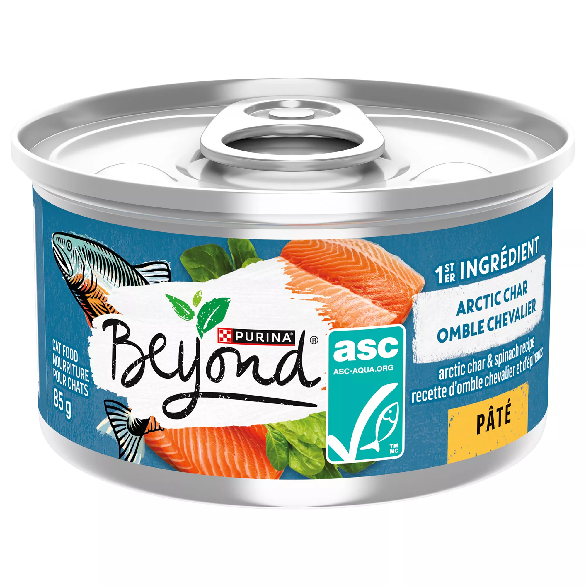 Purina Beyond Arctic Char and Spinach Recipe Pate Adult Wet Cat Food