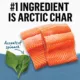 Product Purina Beyond Arctic Char and Spinach Recipe Pate Adult Wet Cat Food