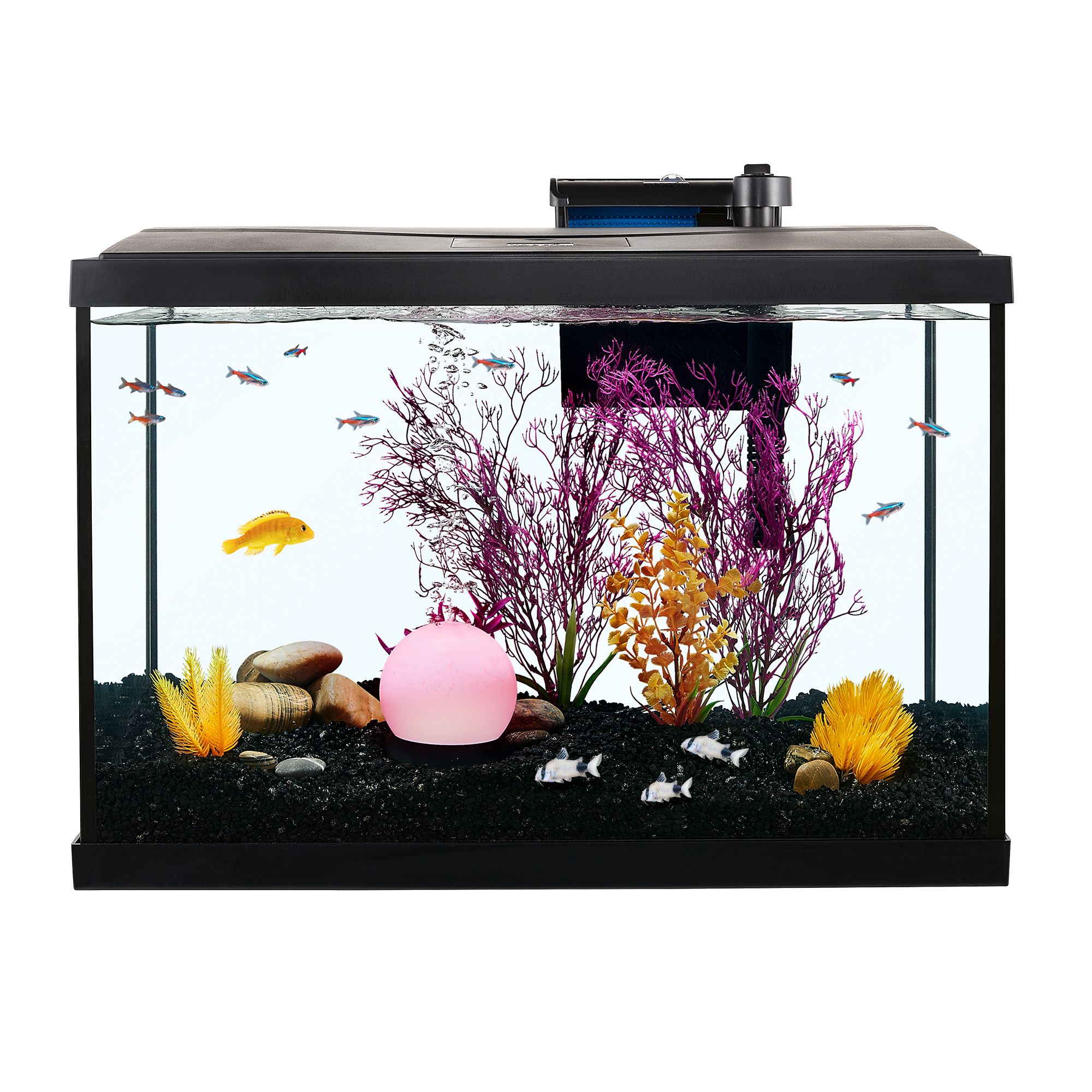 Petsmart led aquarium clearance light