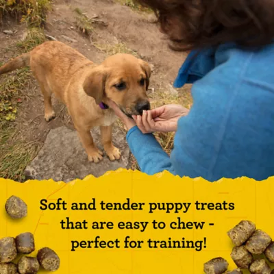 Product Zuke's Puppy Naturals Training Puppy Dog Treats - Salmon & Chickpea