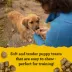 Zuke's Puppy Naturals Training Puppy Dog Treats - Salmon & Chickpea image thumbnail 3