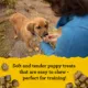 Product Zuke's Puppy Naturals Training Puppy Dog Treats - Salmon & Chickpea