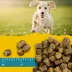 Zuke's Puppy Naturals Training Puppy Dog Treats - Salmon & Chickpea image thumbnail 6