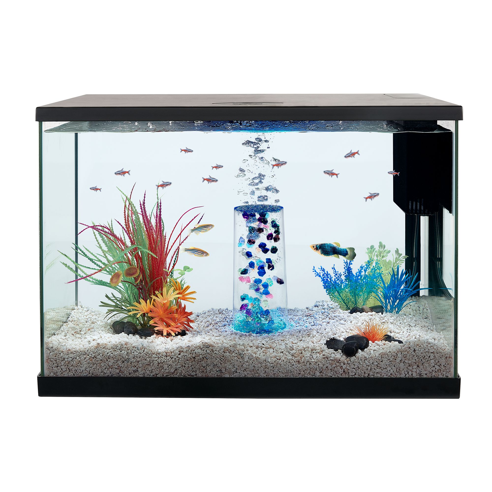 Petsmart fish shop tank lights