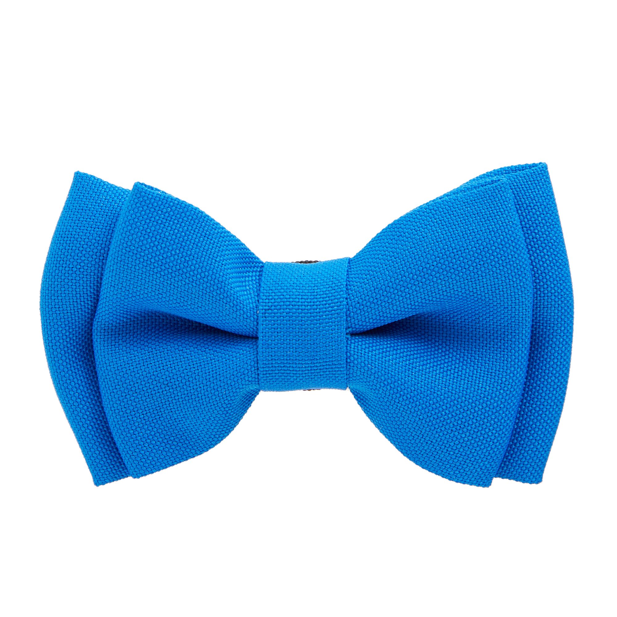 Bow tie dog collar petsmart sale